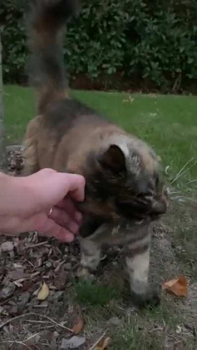 The ol’ switcheroo