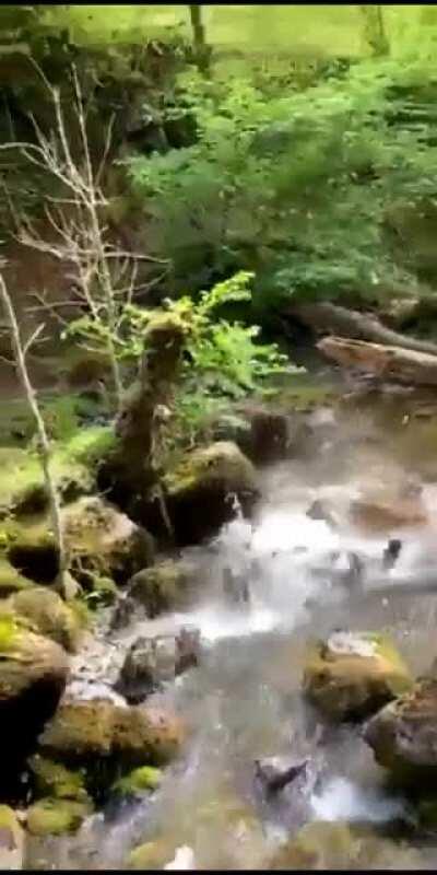 trying to cross a river