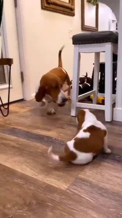 Unbreakable bond kids dog ❤️❤️