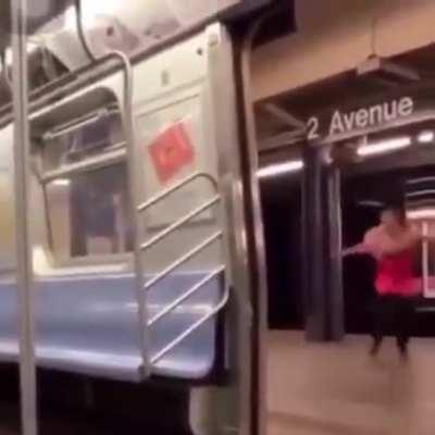 your average new yorker