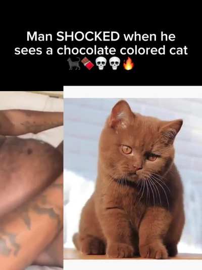 DAT CHOCOLATE PUSSY BABY