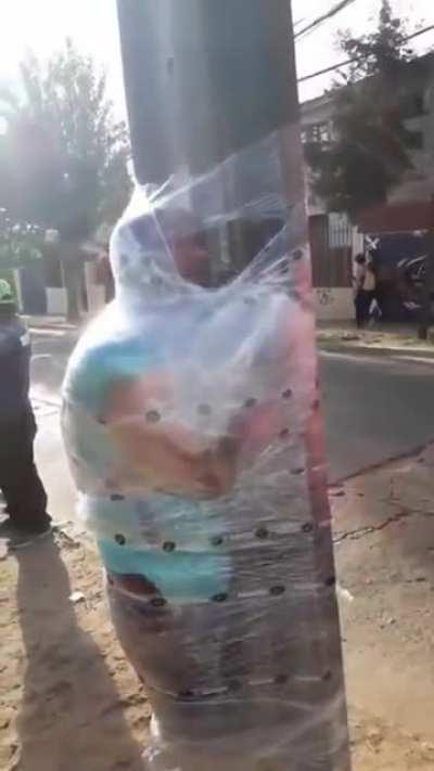 WCW getting caught trying to steal an old man's car in Chile