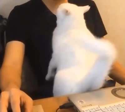 I think she wants a cuddle.