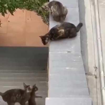 Not leaving anyone behind 🙌🏿