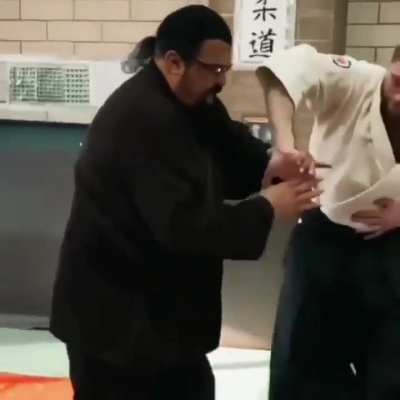 Steven Seagal knows Judo, Karate, Kung Fu and many other dangerous words
