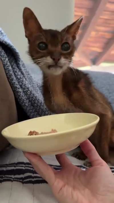 Rip 24 year old Felix 🙏🏼