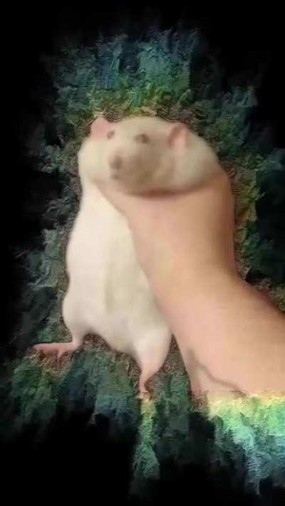 when u high on lsd while grabbing a fat rat