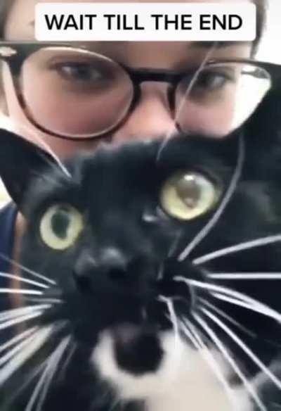 NOT my video. Sorry I can’t remember where I got it.