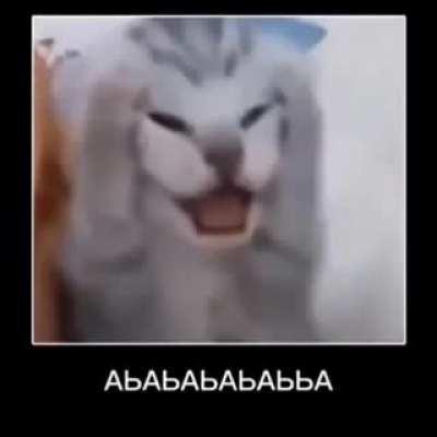 argumentative speech