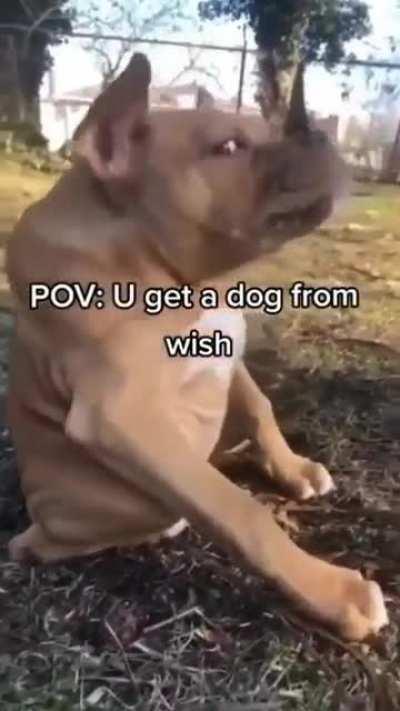 Im finally go to hell