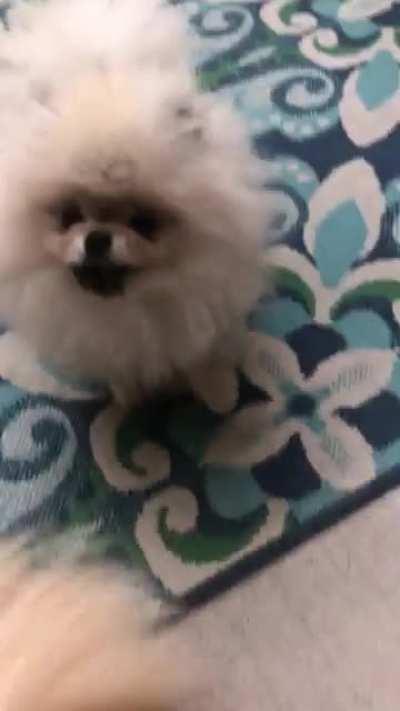 Very windy day for wrestling!