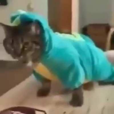 CaT cOmMiTs SuIcIdE aFtEr BeInG cAlLeD a CuTiE