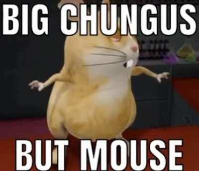Big chungus mouse 😳