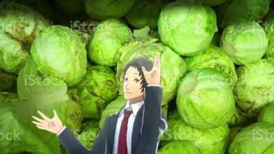 Bitches and Cabbages