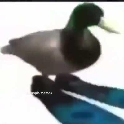 Does anyone know what this song is called? I've been looking for 3 days now :/