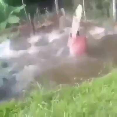 One fish, Two fish, thr- SWEET FANCY MOSES!