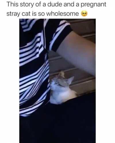 Cats really do choose their owners.