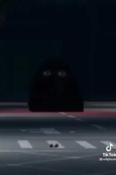 remember to never litter....