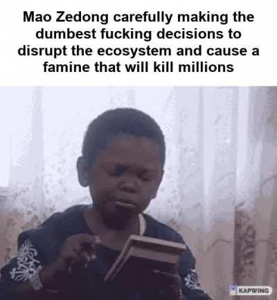 What could possibly go wrong?