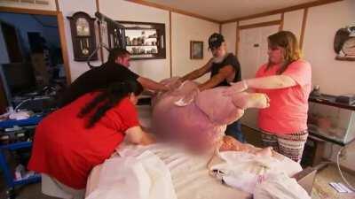 M'goodboy heads to the toilet after a satisfying helping of tendies