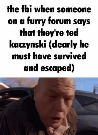 i went on the forum for a furry game and i made a giant troll post about how i was ted kacynzski the unabomber and how i escaped from prison and survived leaving a body double and it started an international manhunt to find him