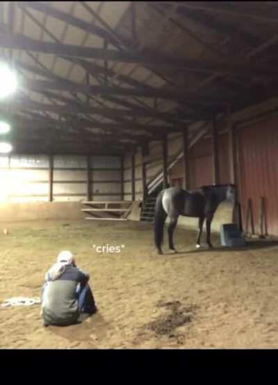 Girl acts sad to see how her horse reacts