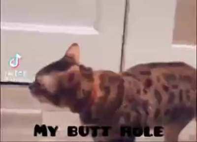 I think he's yelling 