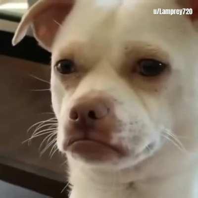 [Meme] Your next line is ''i suppose''