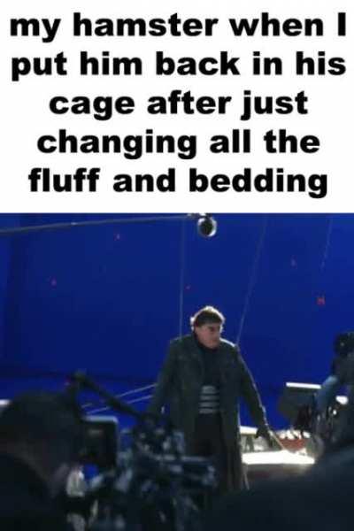 they really do be lookin just like this