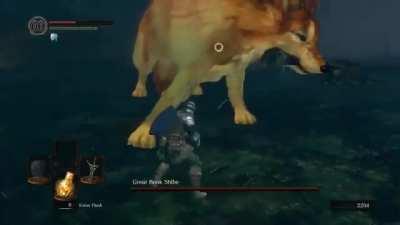 Jennie will like this