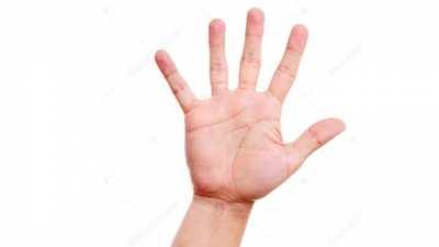 this is the pinnacle of my career