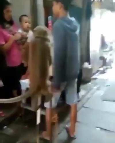 schlatt would love this