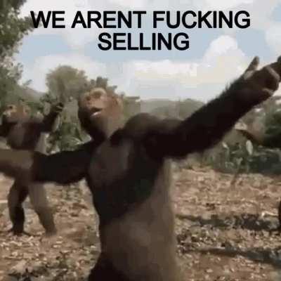 JUST BUY AND HOLD