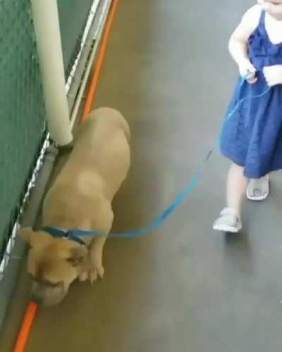 Love at first site leads to adoption