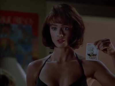 Lauren Holly (picket fences)