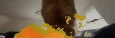 ARE YOU WORRIED BOUT IMPENDING DOOM