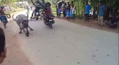 Bike eke yanagamn video karana ekage vedio eka nadda ? 😂