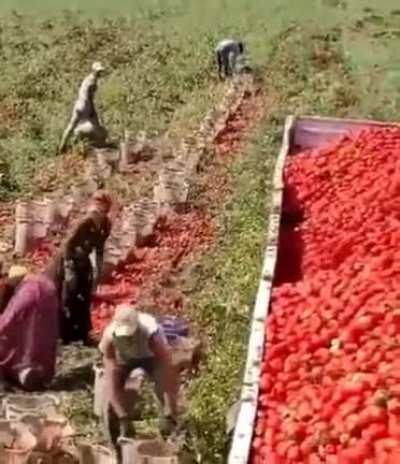 Gravidade, aceleração, atrito, termodinâmica, força vetorial, magia negra, momento, tudo ao mesmo tempo agora.