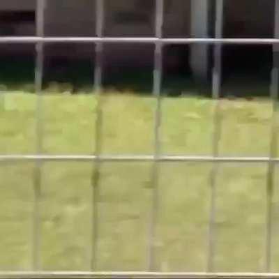 This boy was scooting for his life