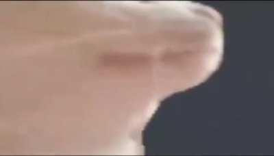 If there's a Through the Trees there better be a Banished Rave