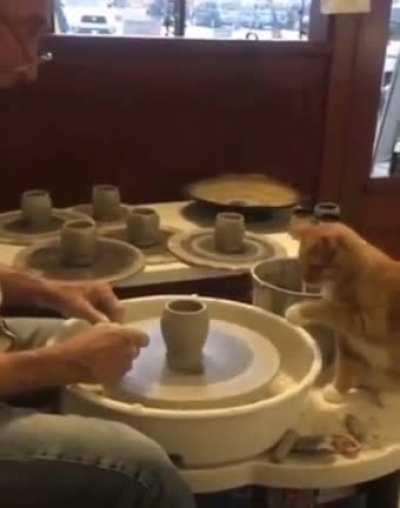 Teamwork Makes the Dream Work