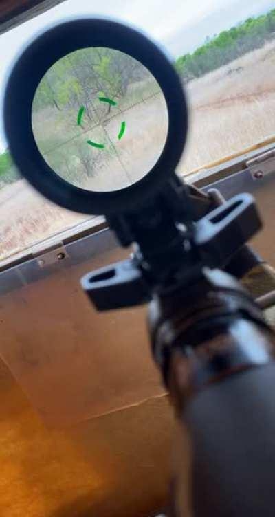 Trijicon Creedo 1-6 (6x)