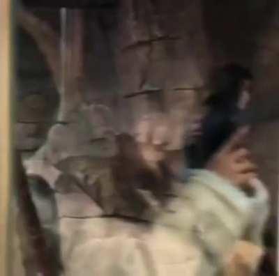 Fastest Evolution Ever