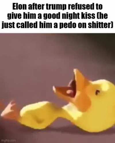 This is a weird timeline