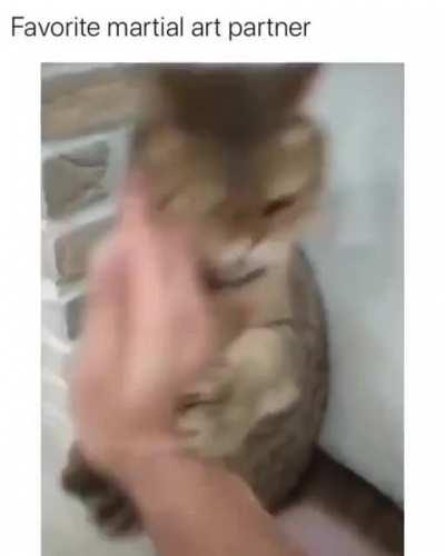 Favorite Martial Arts Partner 😂