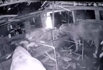 What is going on here?