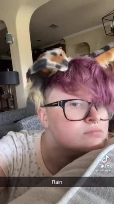 This filled my cringe quota for the day