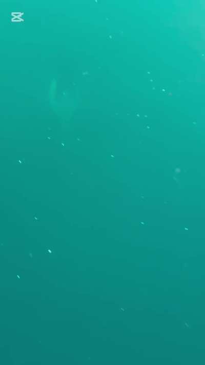 I spent the weekend with them!😍