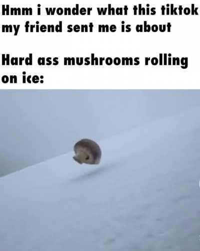 Wasabigang making the hardest videos with shit sliding on ice