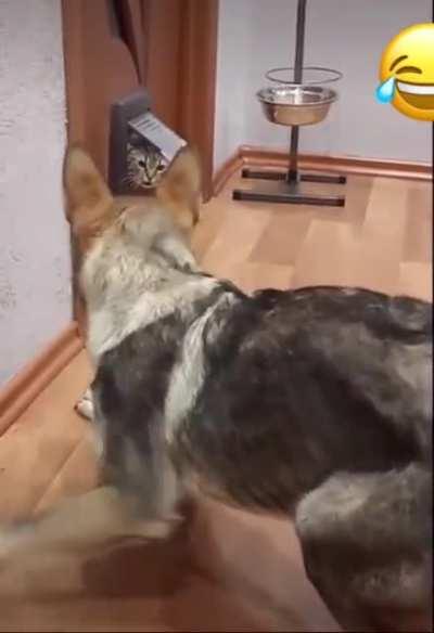 Crouching Tiger, Hidden Dragon...